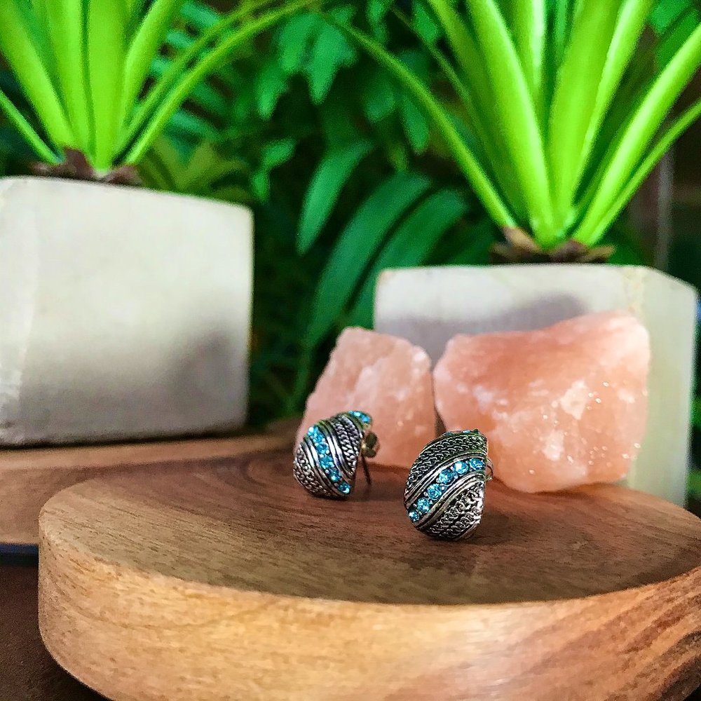 Semi-Hoop Blue & Silver Crystal Earrings